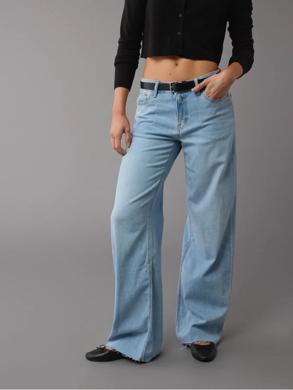 American Eagle Outfitters Women’s Low-Rise Baggy Wide-Leg Ankle Jeans - 6 Long